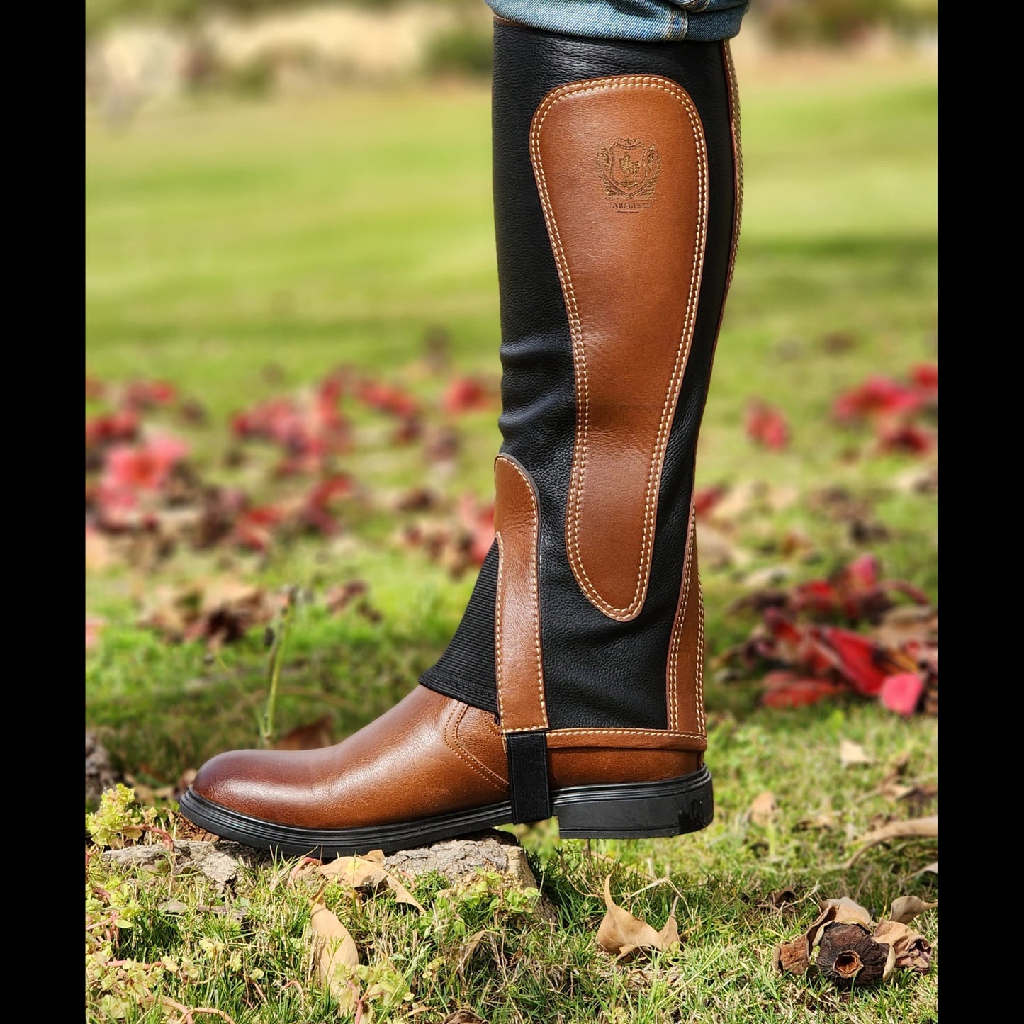 Alexander Chaps