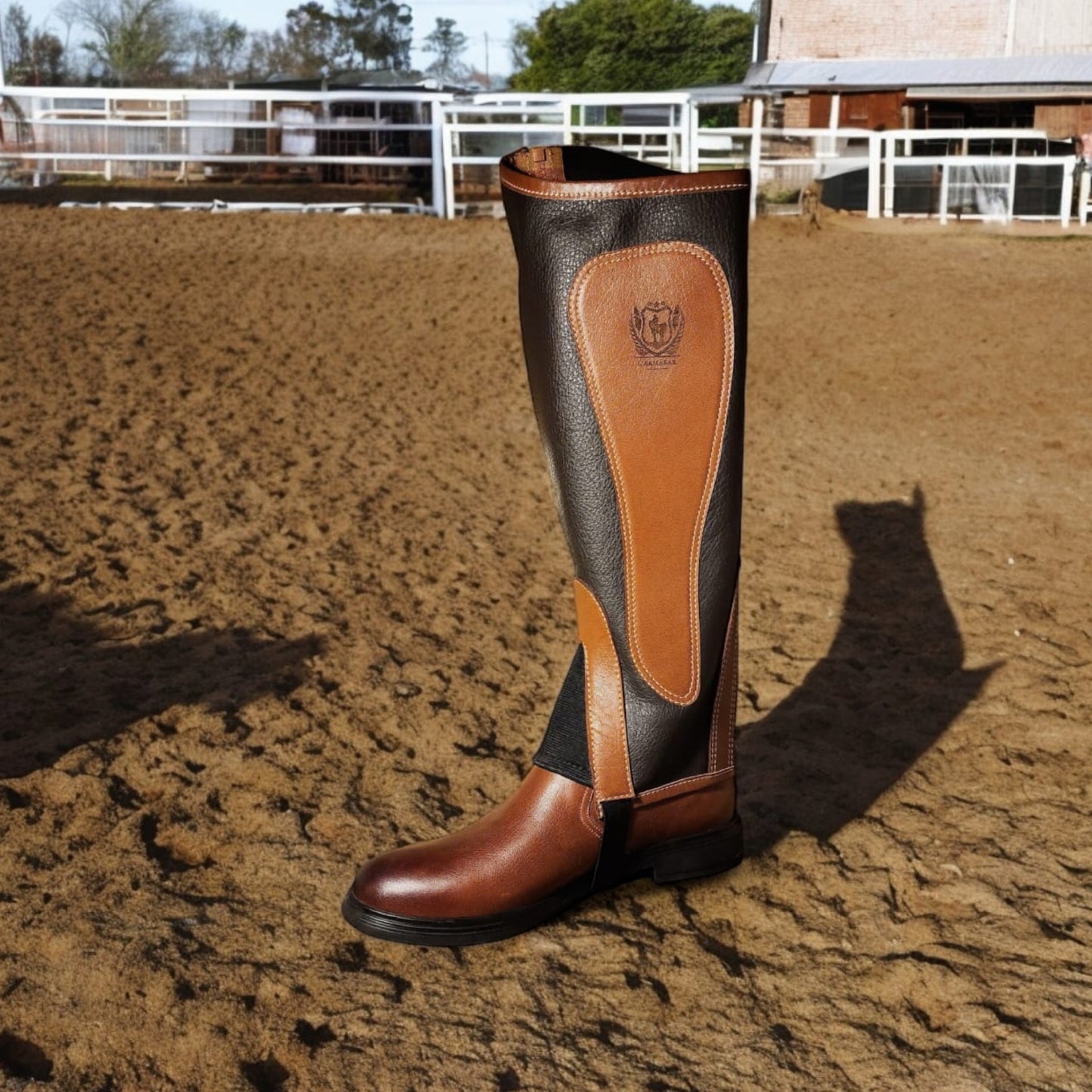 Alexander Chaps