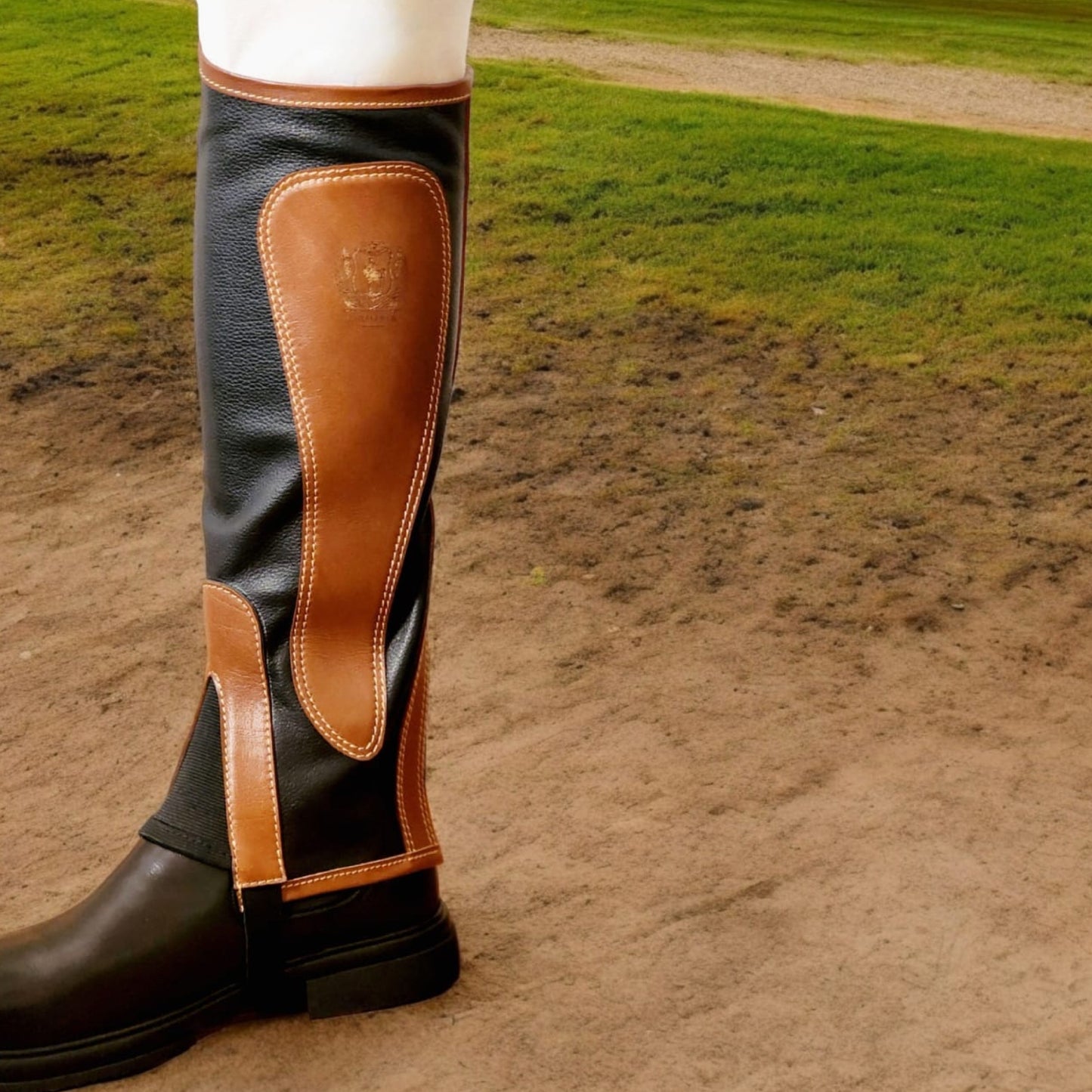 Alexander Chaps