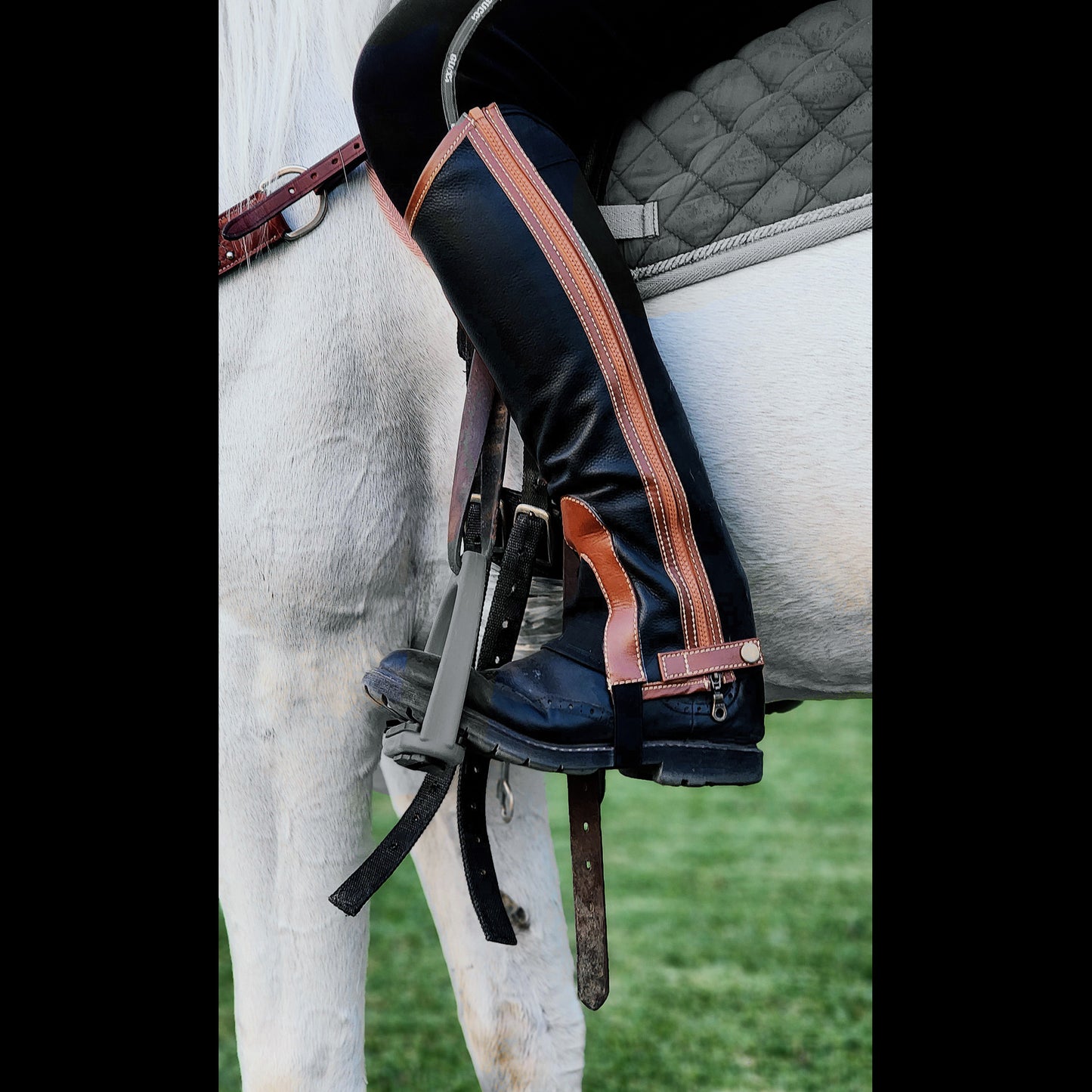 Alexander Chaps