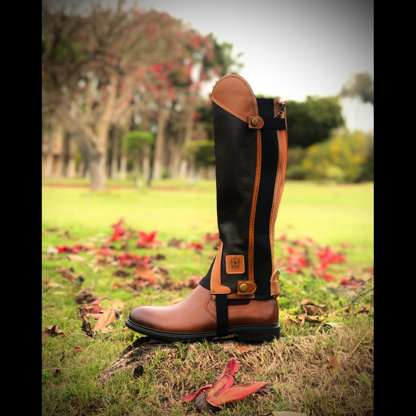 Diana Chaps