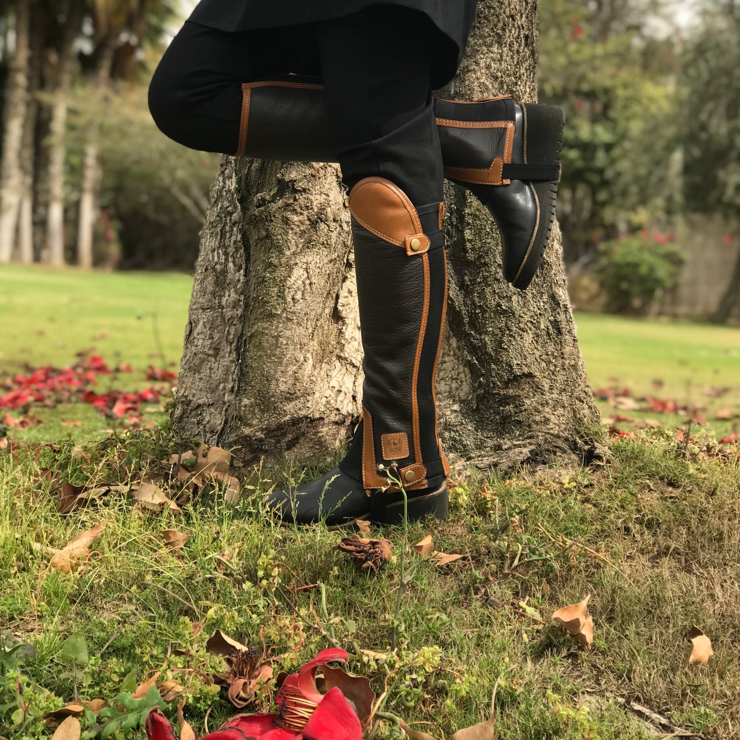 Diana Chaps