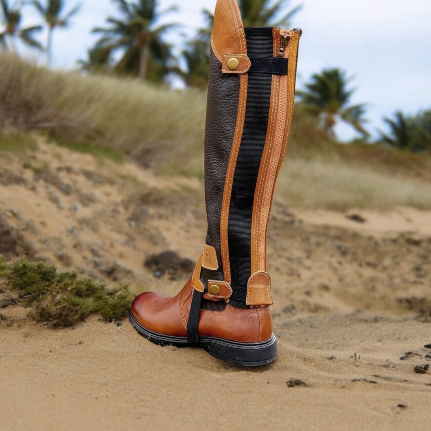 Diana Chaps