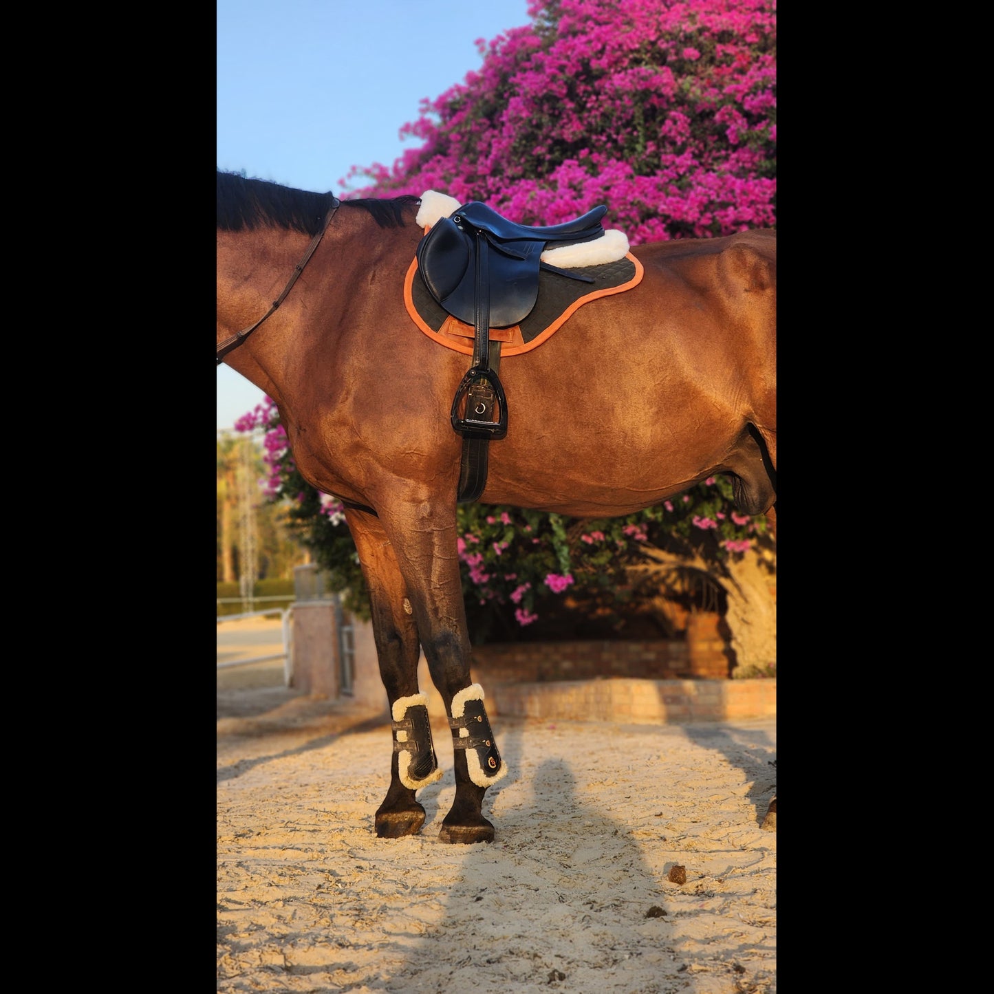 Valentina Saddle Pad