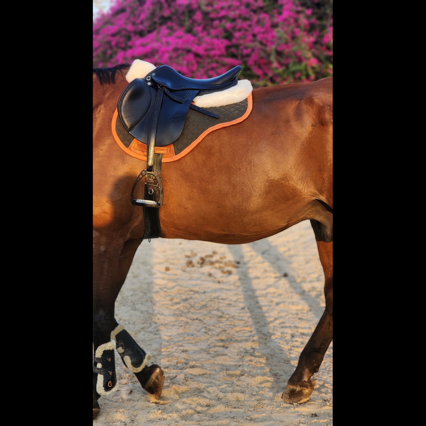 Valentina Saddle Pad