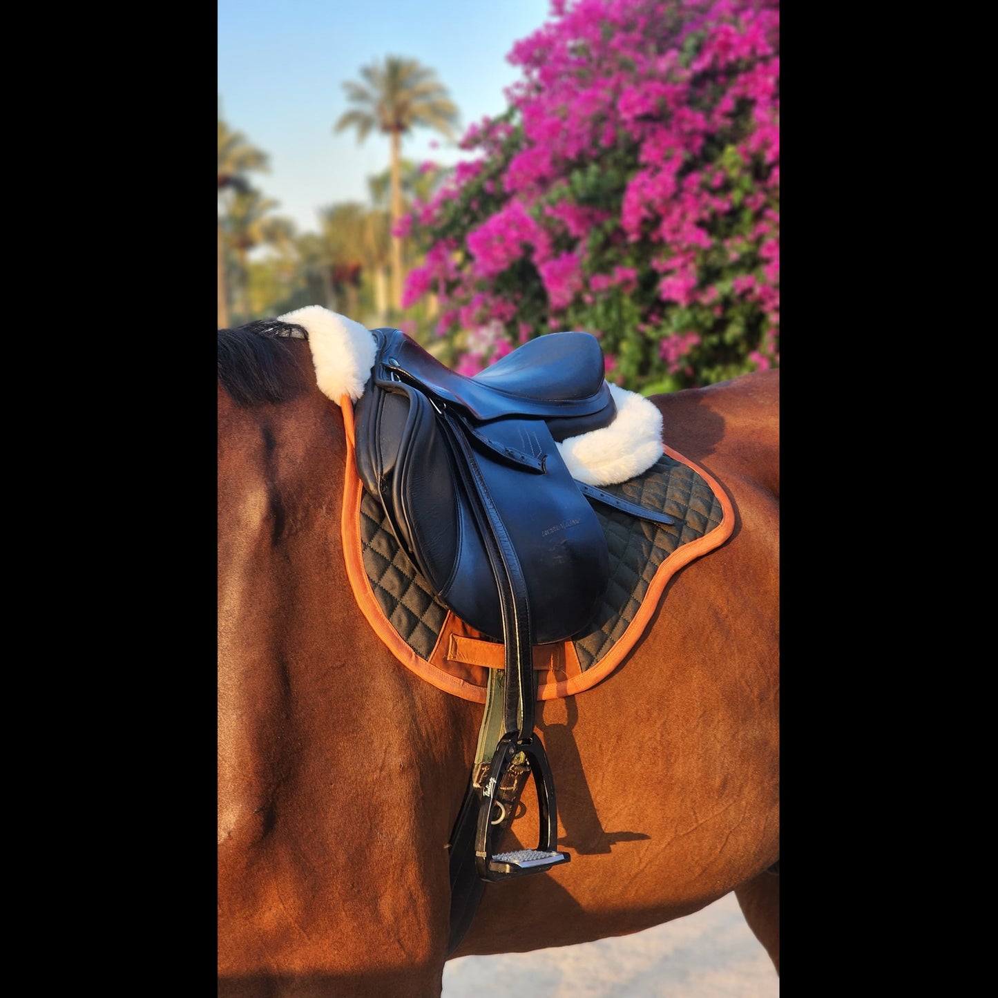Valentina Saddle Pad