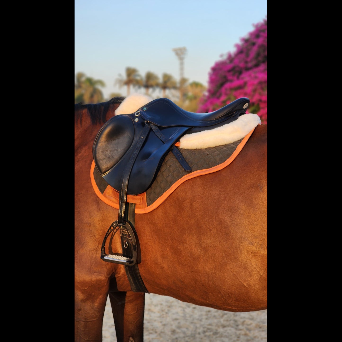 Valentina Saddle Pad